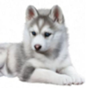 Meet your Posher, Margarethe